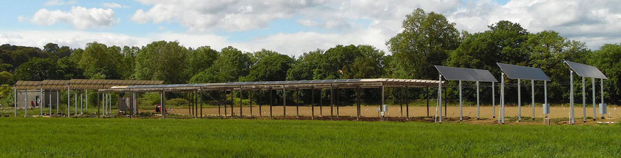 INRA parle de l'agrivoltaïque